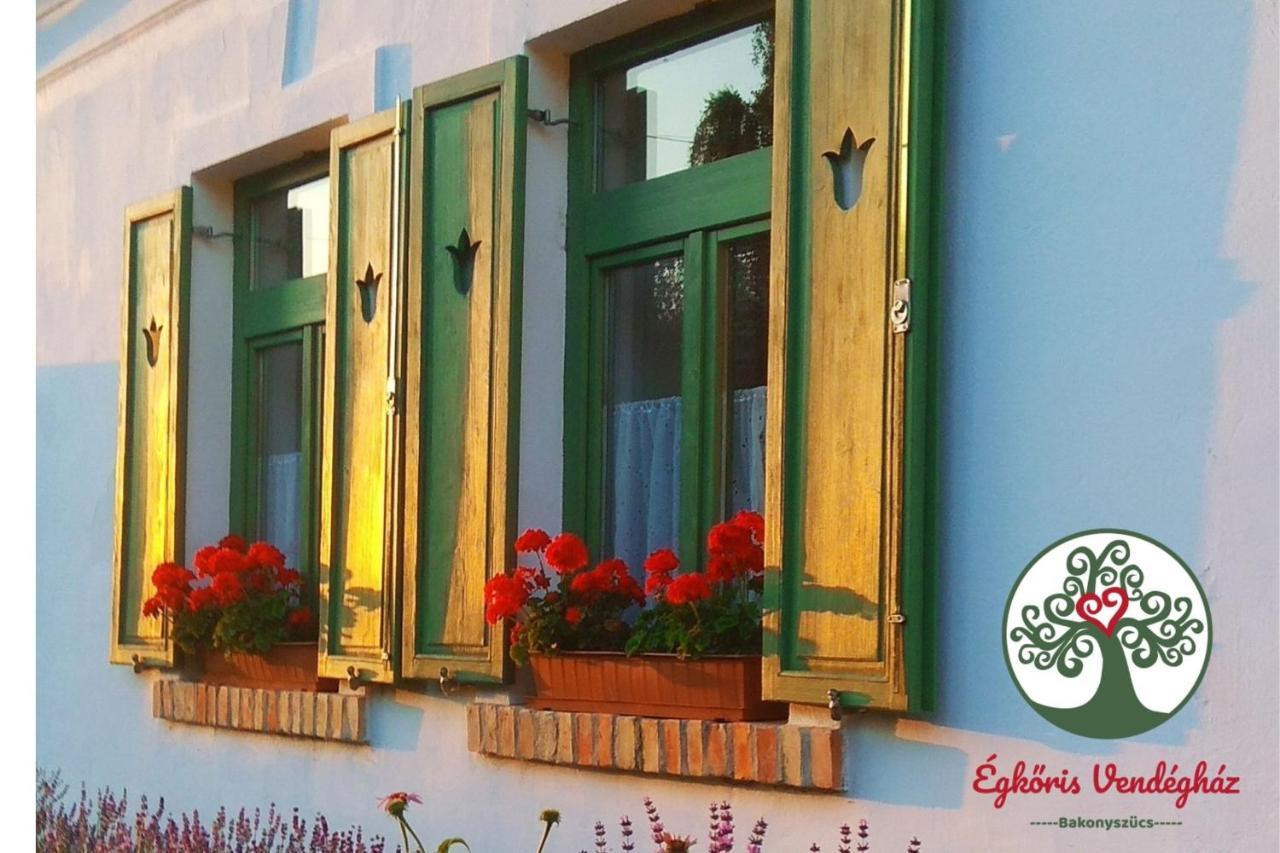 Egkoris Vendeghaz Hotel Bakonyszucs ภายนอก รูปภาพ